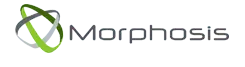 logo Morphosis